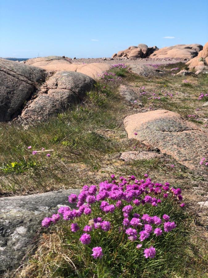 Havings Skafferi Appartement Lysekil Buitenkant foto